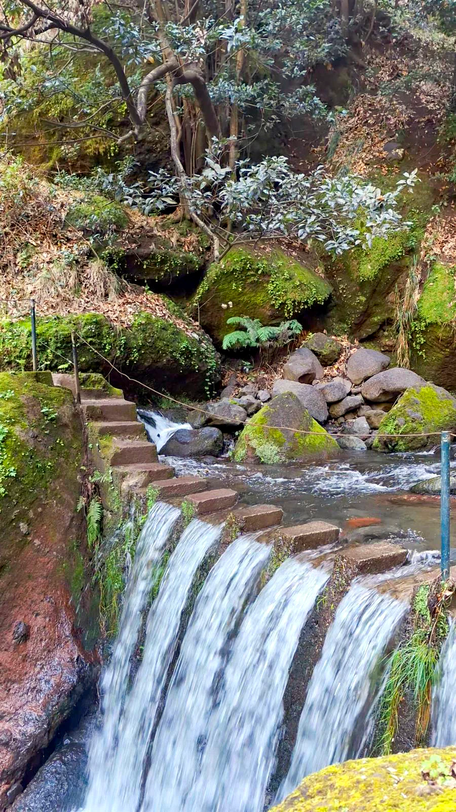 Waterfall steps along the scenic Levada do Moinho and Levada Nova hiking loop in Madeira.