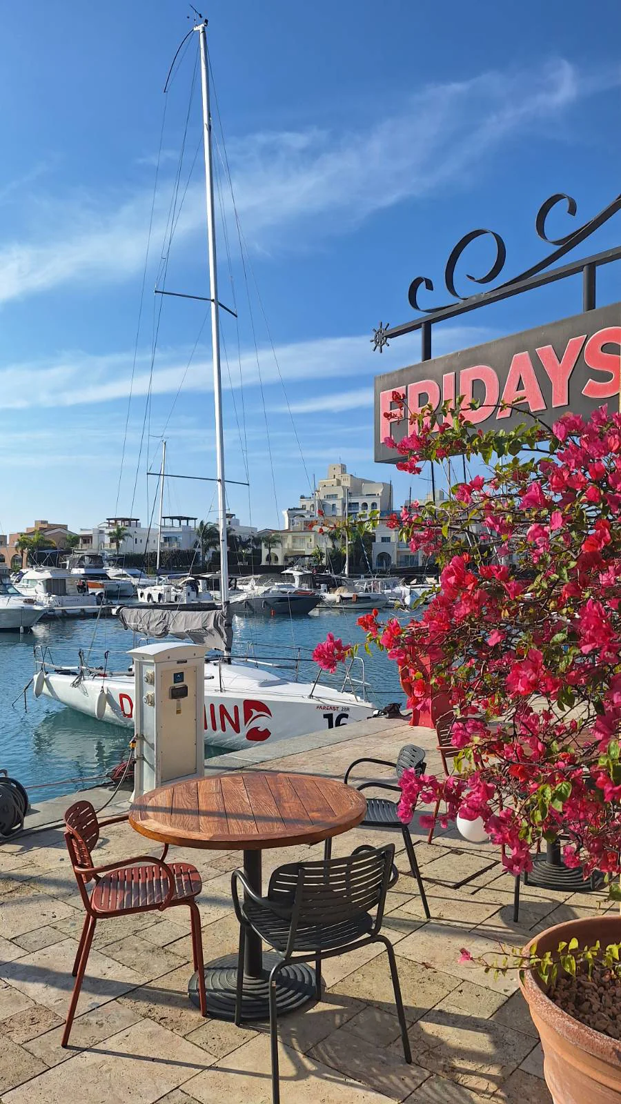 Sunny view of Limassol Marina with boats, cafes, and bougainvillea flowers during a Cyprus road trip.