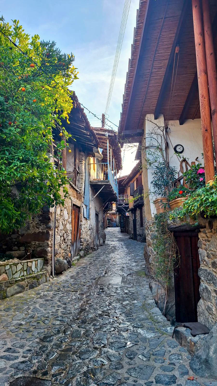 Narrow cobblestone street with stone houses and an orange tree in Old Kakopetria, Cyprus.