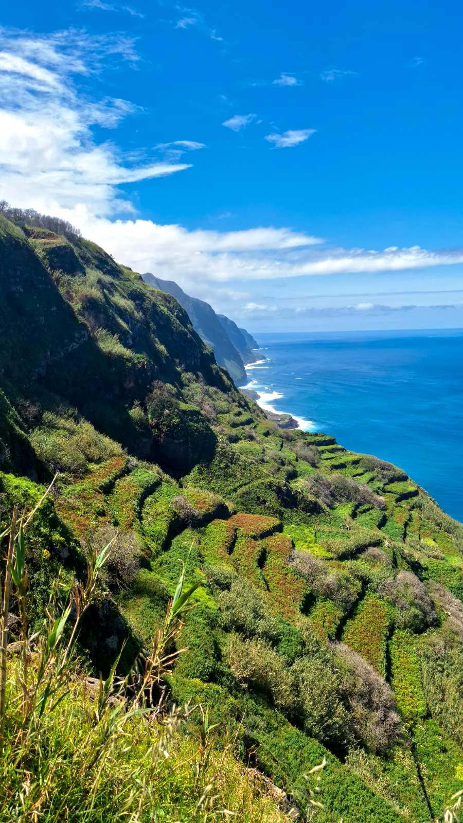 Lush green cliffs meeting the Atlantic Ocean at Ponta do Tristão, northern Madeira.