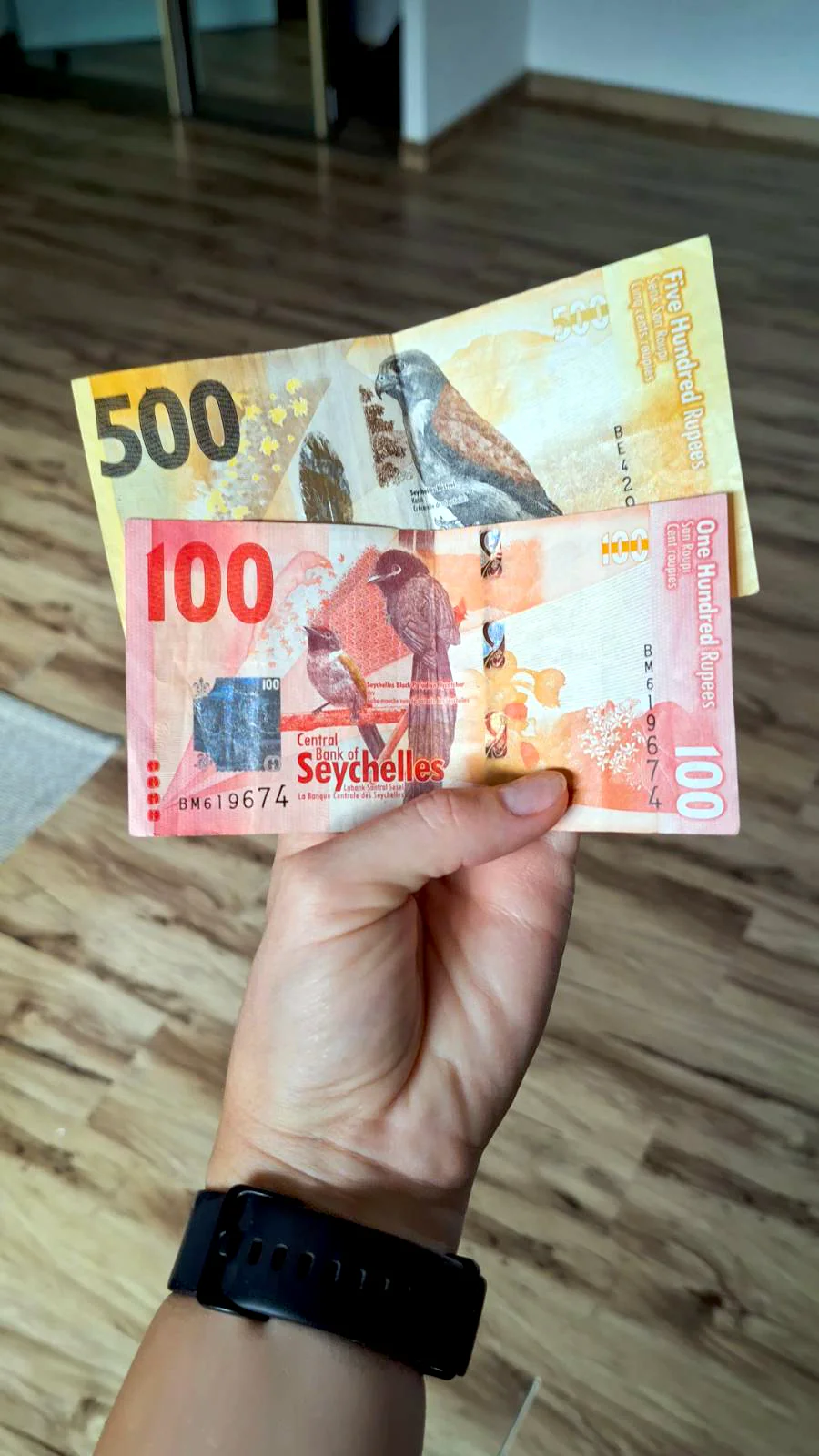 A person holding Seychelles Rupees (SCR) banknotes - planning a Seychelles trip cost.