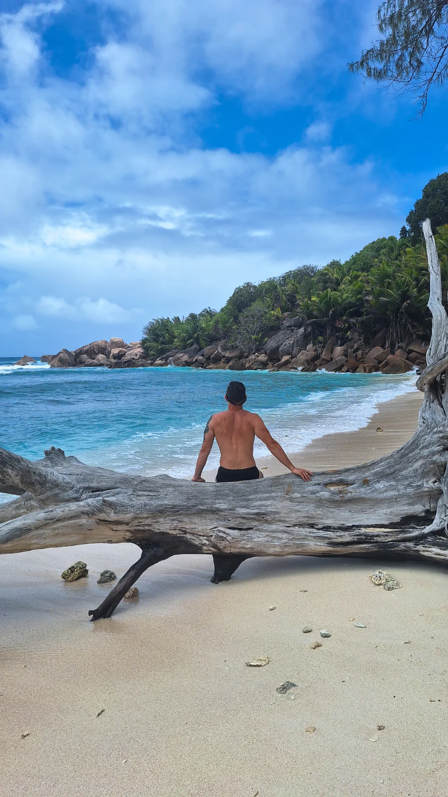 Adam from Millennials Do Travel sitting on a fallen tree trunk, admiring the wild Anse Cocos beach in La Digue.