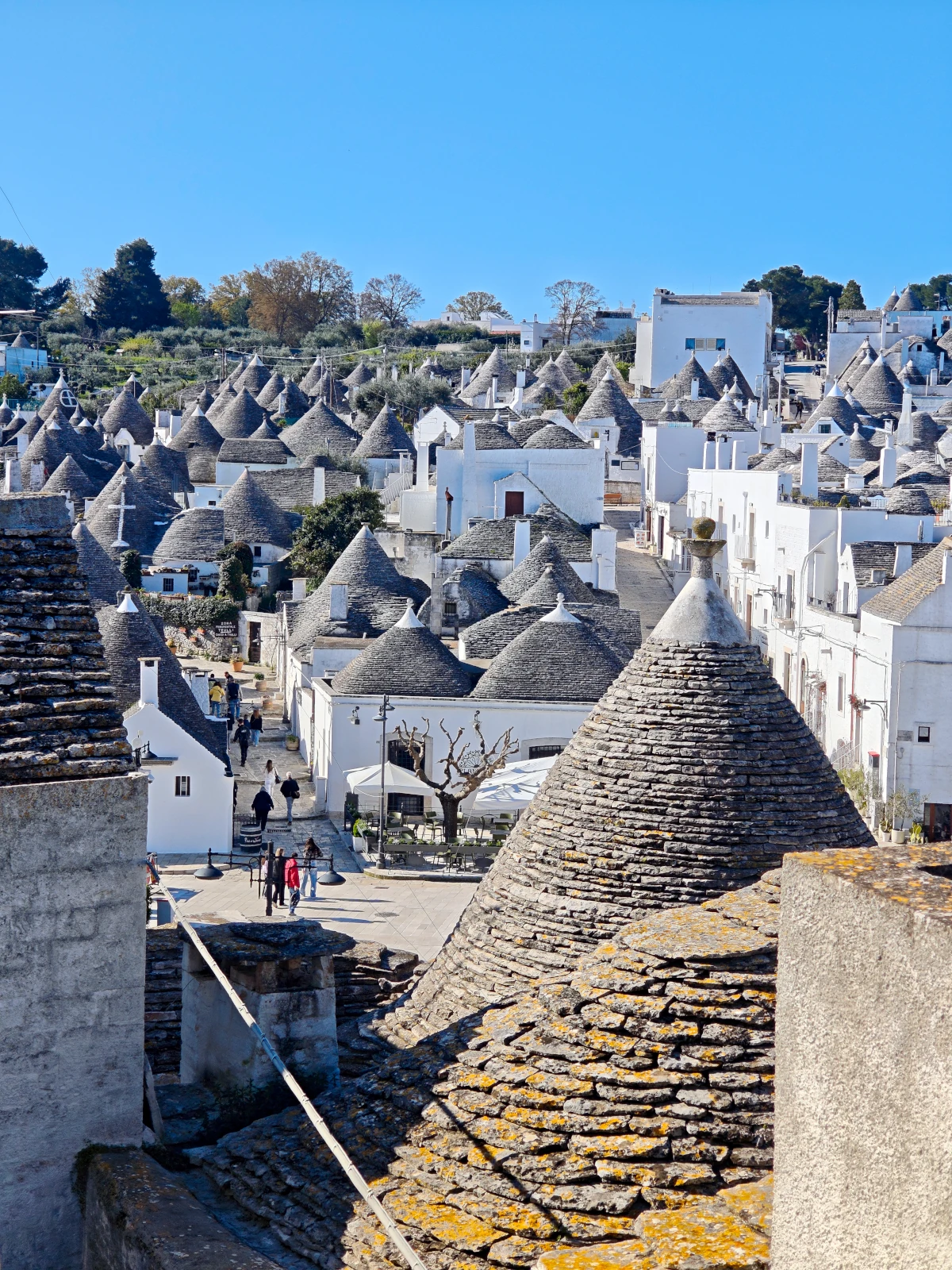 Panoramic view of cone-shaped Trulli houses in Alberobello, Puglia, Italy, UNESCO World Heritage site.