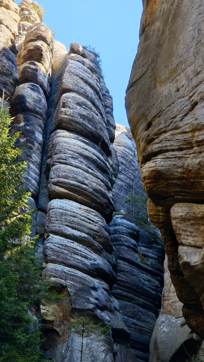 Tall, narrow sandstone pillars and canyons in Teplice Rocks, showing the unique geological formations.